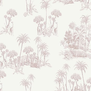 Galerie Wallcoverings Product Code 12597 - Ted Baker Fantasia Wallpaper Collection - Cream Brown Colours -  