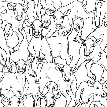 Galerie Wallcoverings Product Code 14106 - Marimekko Essentials Wallpaper Collection - White Black Colours -  