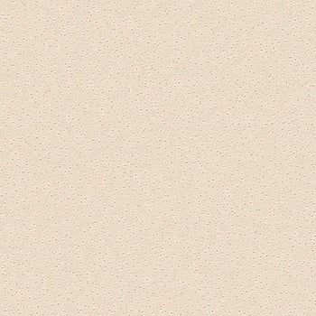 Galerie Wallcoverings Product Code 2S1001 - 2nd Skin Wallpaper Collection -   