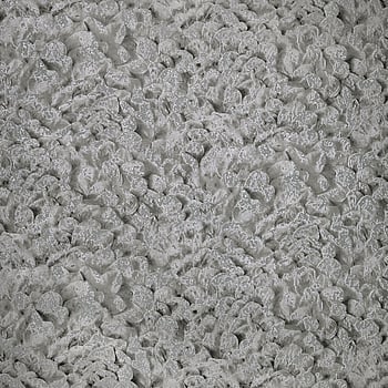 Galerie Wallcoverings Product Code 65309 - Salt Wallpaper Collection - Black Cumin Colours -  