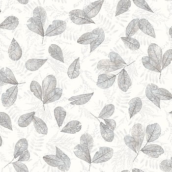 Galerie Wallcoverings Product Code 7301 - Evergreen Wallpaper Collection - Grey Colours -  