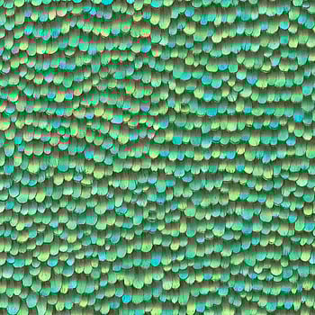 Galerie Wallcoverings Product Code AM30020 - Amazonia Wallpaper Collection - Green Colours -  