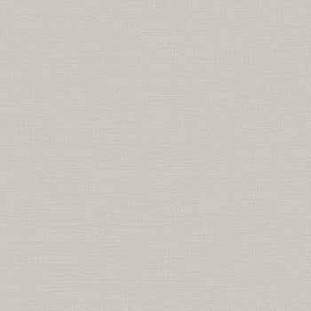 Galerie Wallcoverings Product Code DC30099 - Designer Colours Wallpaper Collection - Beige Colours -  