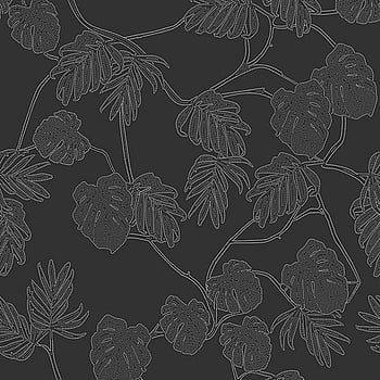 Galerie Wallcoverings Product Code ED13075 - Ted Baker Eden Wallpaper Collection - Black White Colours -  