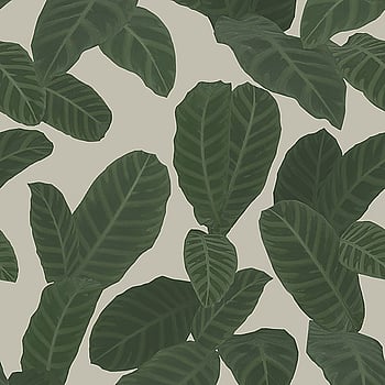 Galerie Wallcoverings Product Code ED13128 - Ted Baker Eden Wallpaper Collection - Taupe Green Colours -  