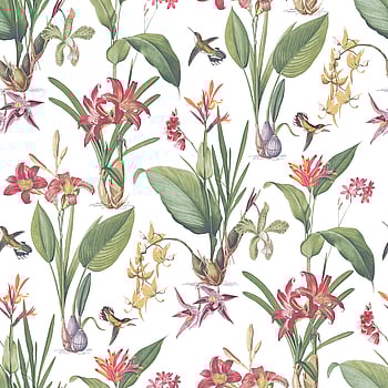 Galerie Wallcoverings Product Code G78505 - Secret Garden Wallpaper Collection -   